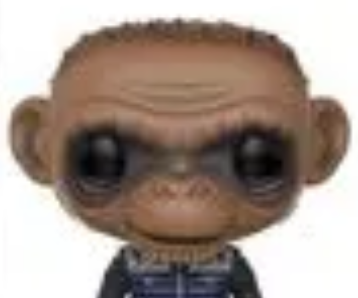 Redpilled Border Czar Says Woke Nigger Joy Reid is “Dumber Than a Box of Rocks”